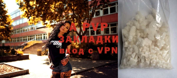 ешки Белокуриха