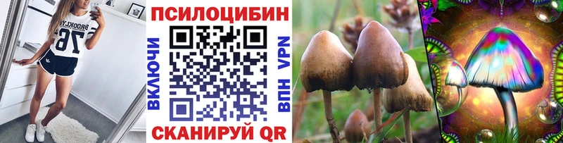 Галлюциногенные грибы прущие грибы Надым